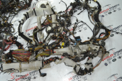 Oto Çıkma Parça / Elektrik / Elektrik Tesisatı / BMW / X5 / Çıkma Parça 