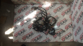 NİSSAN QASHQAİ SAĞ ÖN KAPI KABLO TESİSATI - 24125JD06C