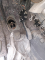Toyota Corolla Gaz Pedalı 2006-2012