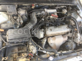 ROVER 620 2.0 MARŞ DİNAMOSU