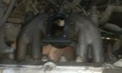 1996 model fiat tempra station 1.6 çıkma emme manifoldu
