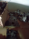 Honda Civic Rs Triger Kapak 2016-2021