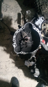 Toyota Coralla 1.6 Ae101 Şanzuman 90.2002