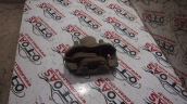 FORD S MAX - C MAX FREN MERKEZİ