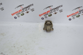 2015 MERCEDES A SERİSİ W176 MOTOR KULAĞI A2462401209