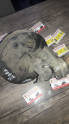 FIAT ALBEA 1.3 WESTENHOUSE