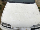 HYUNDAİ SONATA ORJİNAL KAPUT