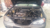 Nissan Primera Fan Motoru