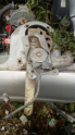 Kia kapital.  mazda 626 sol arka cam krikosu motorlu