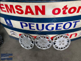RENAULT JANT KAPAKLARI TEMSAN OTO