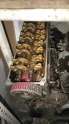 MAZDA 323 541 KODLU SİLİNDİR KAPAK - ALKO OTOMOTİV