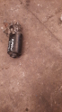 renault r19 çıkma ön cam silgeç motoru