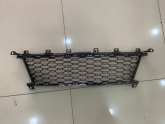 BMW G20 ÖN TAMPON ORTA IZGARA 51118069367