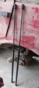 Oto Çıkma Parça / Mekanik / Bagaj Amortisörü / Opel / Tigra / Çıkma Parça 