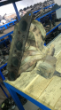 Renault Laguna 1 Volvo Motor Egzoz Manifoldu