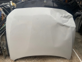 BMW F20 Ön Kaput Çıkma
