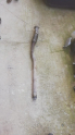 OPEL ASTRA H SPRER HORTUM