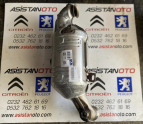 Peugeot 3008 Suw katalizör 9815574580