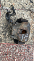 OPEL ASTRA G 1.4-1.6 BENZİNLİ SAĞ ÖN MERKEZ