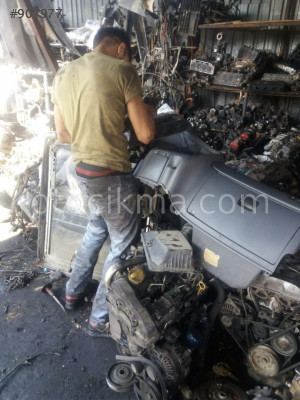 Palıo komple dolu göğüslük