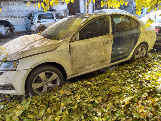 2017-2019 Skoda Octavia Sol Ön Kapı Orjinal çıkma