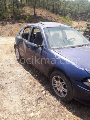 ROVER 216 TAKIM JANT