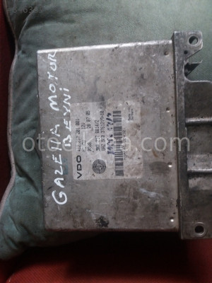 gazelle motor beyni