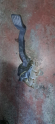 PEUGEOT 307 PEDAL ORJİNAL ÇIKMA PEJO