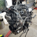 Skoda Octavia 1.6 TDI Dizel DGT Çıkma Motor 2012 - 2015