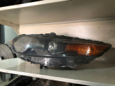 Oto Çıkma Parça / Elektrik / Far / Honda / Accord / Çıkma Parça 