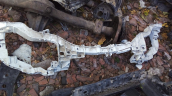 ford focus ön panel