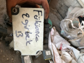 Fülüance egirbek beyni