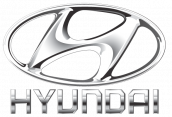 HYUNDAI GETZ ÇIKMA ORJİNAL SOL ARKA KAPI
