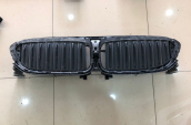 BMW G30 ÖN PANJUR BÖBREK