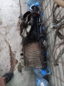 Oto Çıkma Parça / Motor / Su Radyatörü / Kia / Capital / Çıkma Parça 