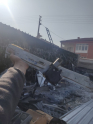 Linea sağ cam krikosu