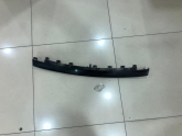 BMW F32 ÖN TAMPON ORTA ÇITASI 51117294837
