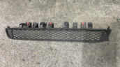 OPEL İNSİGNİA OPC ÖN TAMPON ORTA IZGARA 23163384 CANCAN OPEL