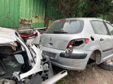 Oto Çıkma Parça / Kaporta & Karoser / Tavan Sacı / Peugeot / 307 / Çıkma Parça 