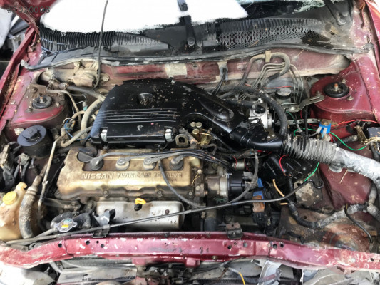 Nissan Sunny krank mili