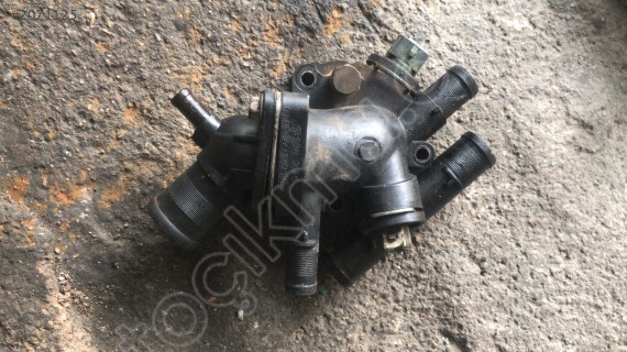 Renault kango termostat 1.9 çıkma