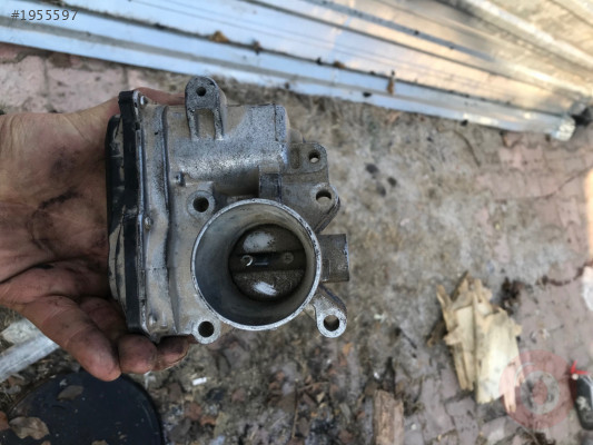 1.2 dacca gaz kelebeği