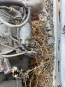 Skoda Felecia  marş dinaması