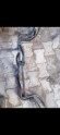 Renault Symbol Viraj demiri