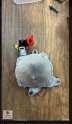 C SERİSİ W205 DİZEL FREN VAKUM POMPASI A6262300065 146503760R