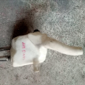 OPEL MERİVA A CAM SU BİDONU