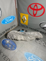 FOCUS 13 ÖN TAMPON DEMİRİ SIFIR-ORJ AM51R10922AG