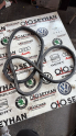 5N0867913 vw tiguan 2015 arka sol kapı lastiği