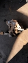 Oto Çıkma Parça / Şanzıman & Vites / Şanzıman Komple / Fiat / Uno / Çıkma Parça 