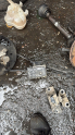 OPEL CORSA ABS BEYNİ KONUK OTO